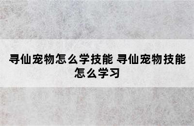 寻仙宠物怎么学技能 寻仙宠物技能怎么学习